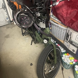 Rad Power Bikes Rad 1 Green