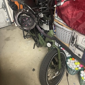 Rad Power Bikes Rad 1 Green