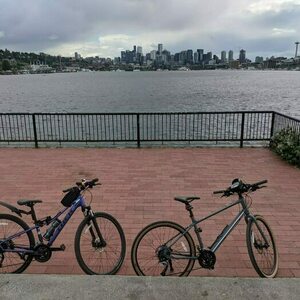 2020 Trek Trek DS 3 W'S - 20 Purple