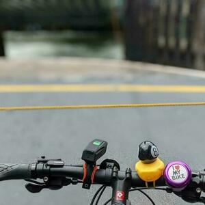 2020 Trek Trek DS 3 W'S - 20 Purple