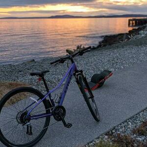 2020 Trek Trek DS 3 W'S - 20 Purple