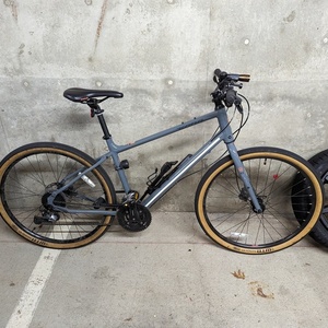 2020 Kona DEW+ Silver, gray or bare metal