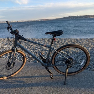 2020 Kona DEW+ Silver, gray or bare metal