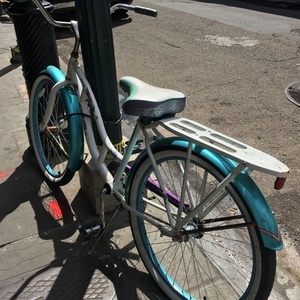 Schwinn Cruiser One White, Teal, and Purple
