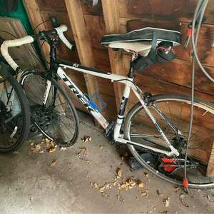 Trek Alpha 1.1 White and Black