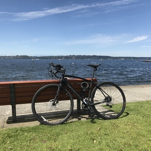 2017 Specialized DIVERGE A1 Black