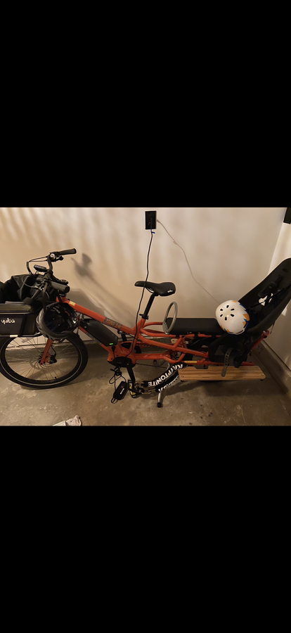 Cargo Bike Rear photo
