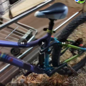 2018 Giant Liv embolden 2 Purple and Green