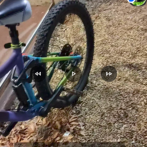 2018 Giant Liv embolden 2 Purple and Green