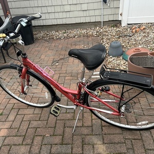 2008 Raleigh Women Step Thru Brown