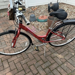 2008 Raleigh Women Step Thru Brown