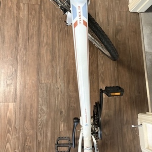 2017 Fuji Absolute 2.3 White