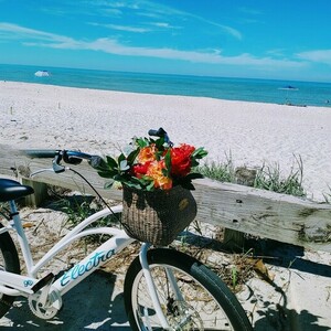 2024 Electra Cruiser go White