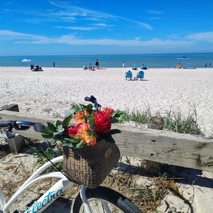 2024 Electra Cruiser go White