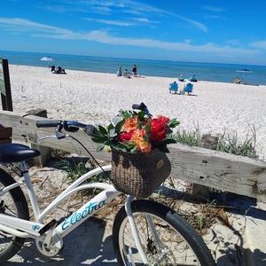 2024 Electra Cruiser go White