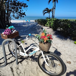 2024 Electra Cruiser go White