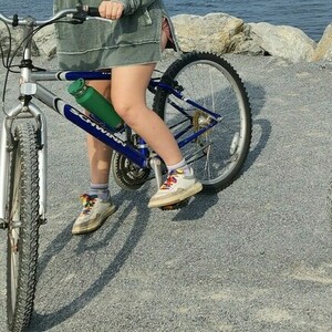 Schwinn Blue and Silver, gray or bare metal