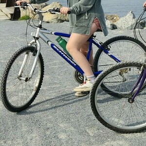 Schwinn Blue and Silver, gray or bare metal