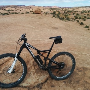 2016 Specialized Stumpjumper Black and White