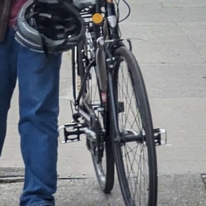 Trek 7.2 FX Black and Green