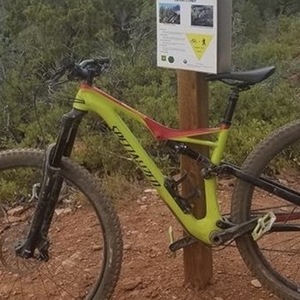 2017 Specialized stumpjumper fsr carbon comp 29" Green and Red