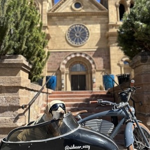Vintage E-bikes Blue