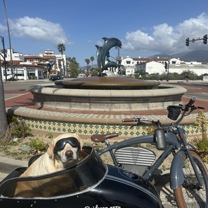 Vintage E-bikes Blue