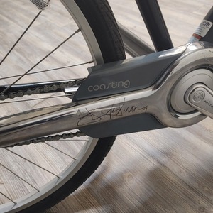 Trek Lime Lite Black and Silver, gray or bare metal