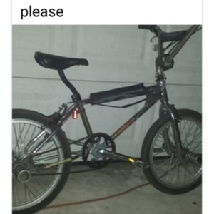 1980 Diamondback 201n Silver, gray or bare metal