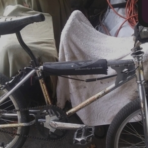 1980 Diamondback 201n Silver, gray or bare metal