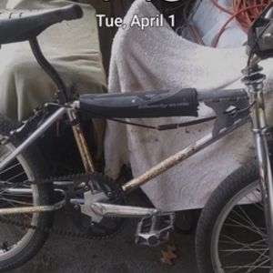 1980 Diamondback 201n Silver, gray or bare metal