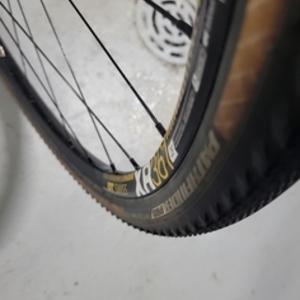 2019 Ridley XTrail Black