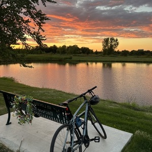 Nishiki Manitoba Silver, gray or bare metal