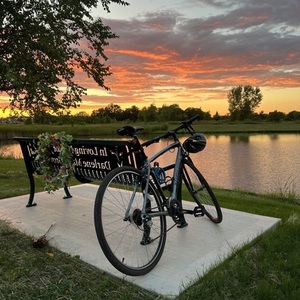 Nishiki Manitoba Silver, gray or bare metal