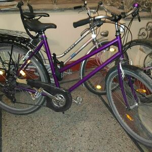 Batavus Sprint Purple