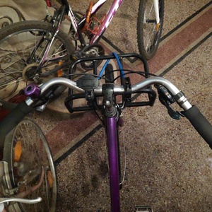Batavus Sprint Purple