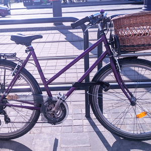 Batavus Sprint Purple