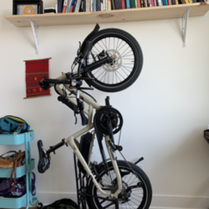 2020 Tern hsd p9 Brown