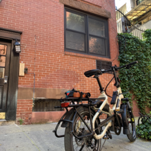 2020 Tern hsd p9 Brown