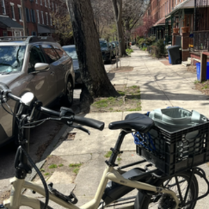 2020 Tern hsd p9 Brown