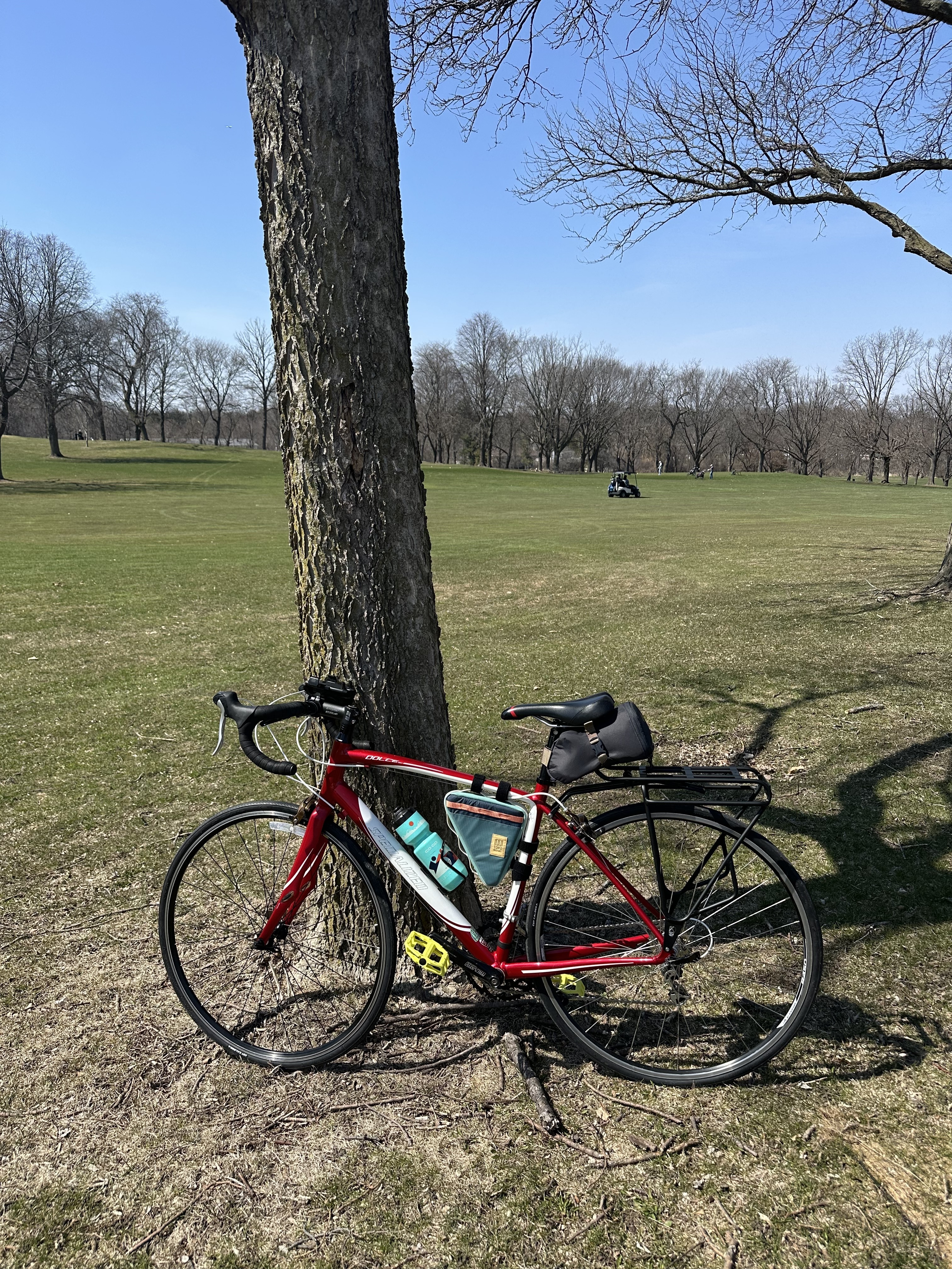 2011 Compact 2011 Specialized Dolce Sport Compact