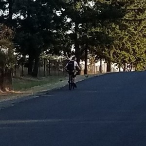 2017 Mongoose mongoose status 2.2 26" Black and Red