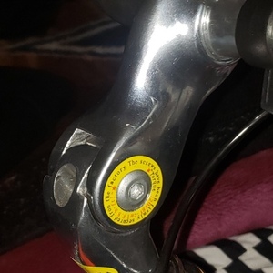 Bianchi Milano Orange