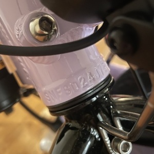 2025 Lectric eBikes Lite 2.0 Purple