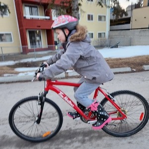 2011 Raleigh 2011 Raleigh Tim Hortons 25TH Anniver... Red