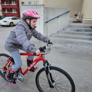 2011 Raleigh 2011 Raleigh Tim Hortons 25TH Anniver... Red