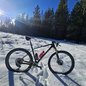 2024 Orbea Alma Black