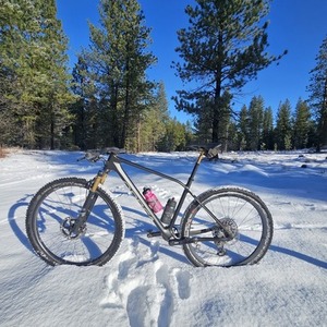 2024 Orbea Alma Black