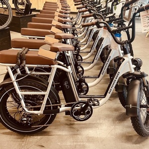 2025 Rad Power Bikes RAD RUNNER PLUS Silver, gray or bare metal