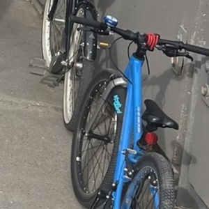 2022 Trek Wahoo Blue